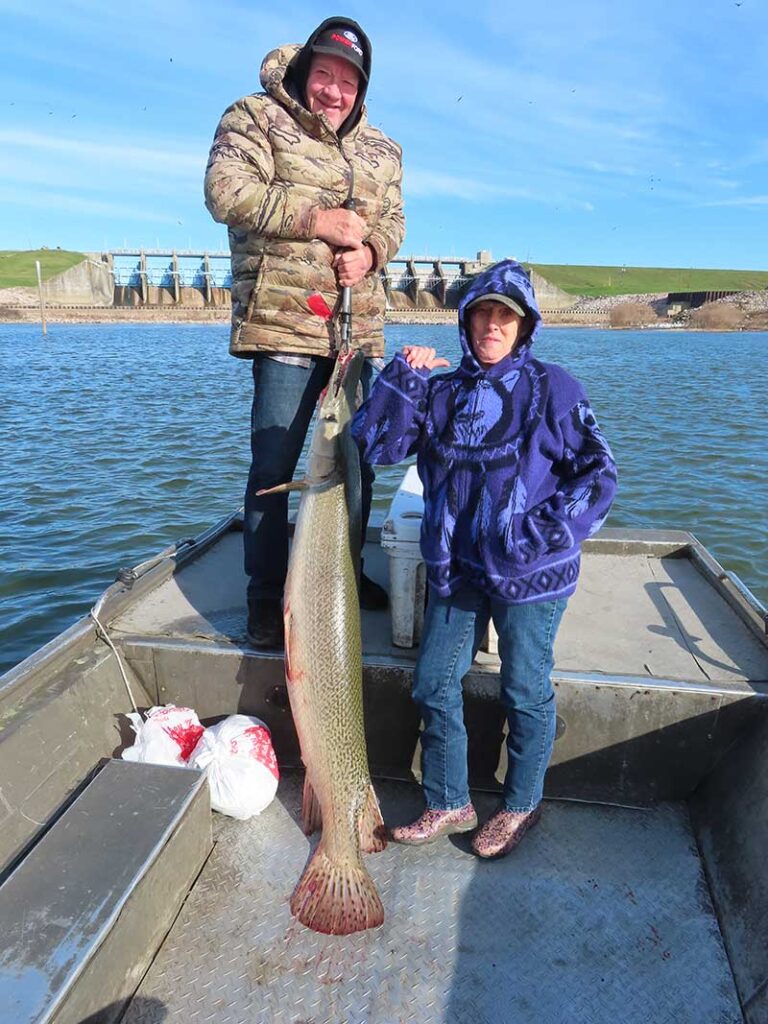 Photo of Alligator Gar