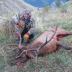 2024 Bull Elk Photo