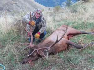 2024 Bull Elk Photo