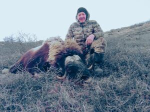 Greenland Musk Ox Hunt 2026